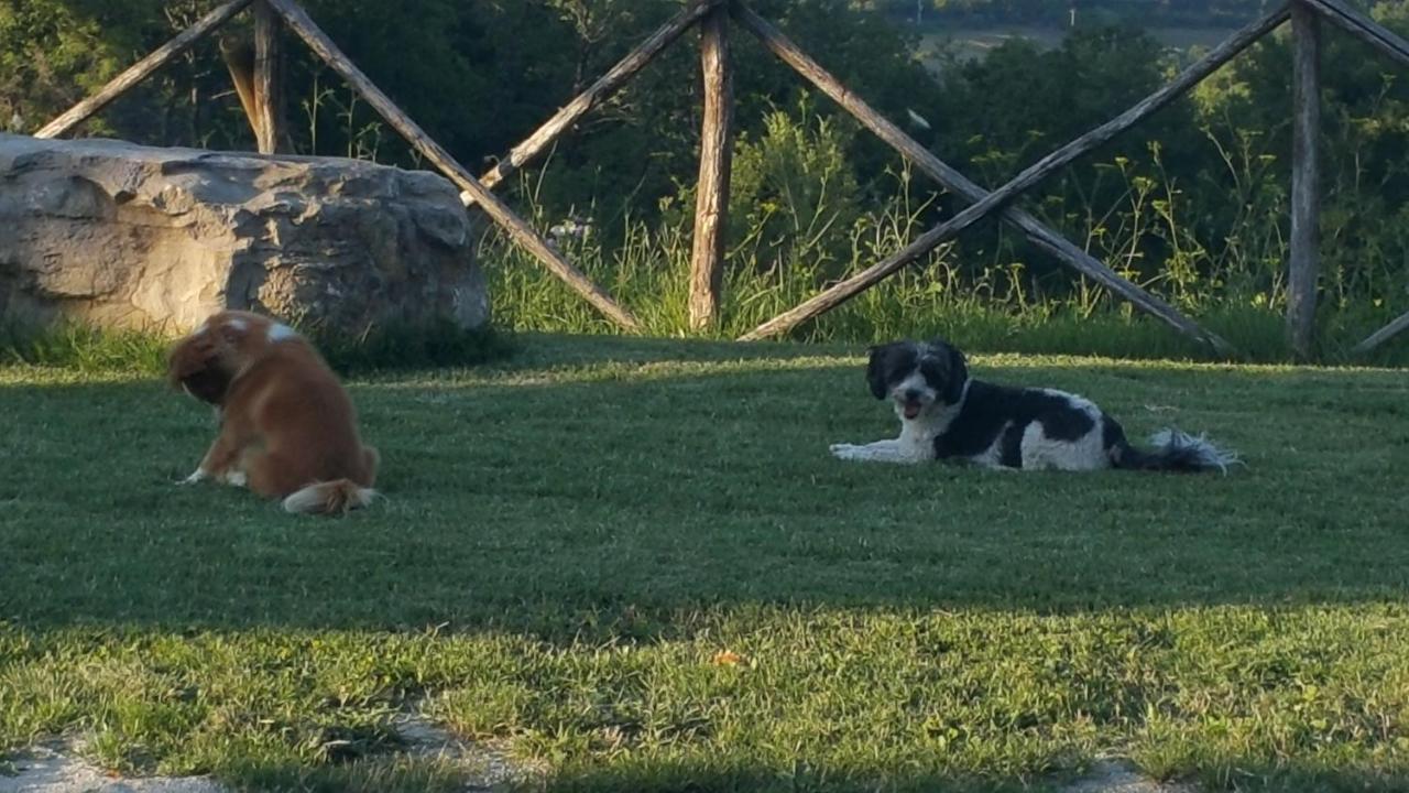 Agriturismo Countryhouse Le Giare Gubbio Exteriör bild